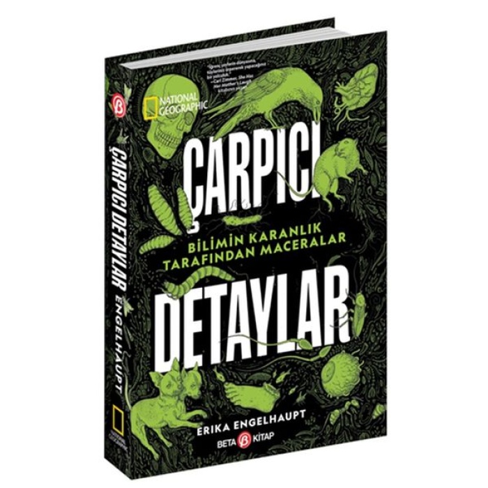 - Çarpıcı Detaylar