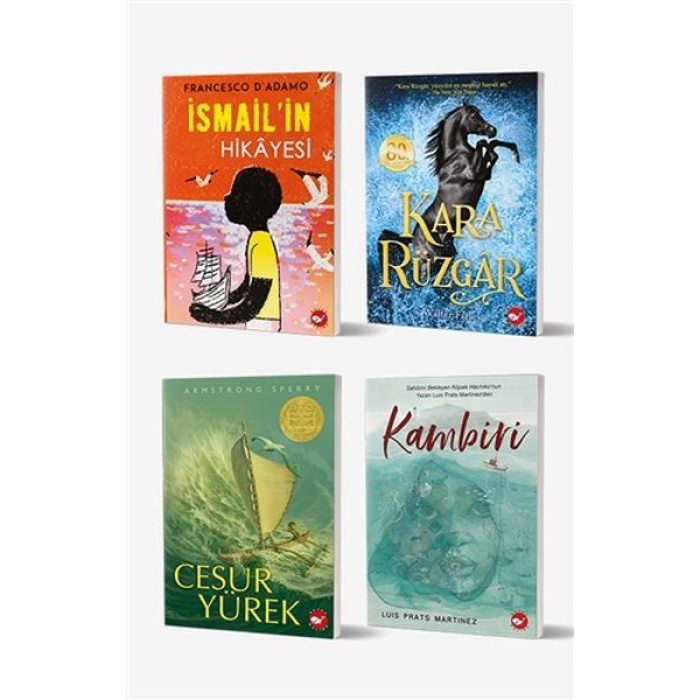 11+ Yaş İçin Okuma Seti (4 Kitap Takım)