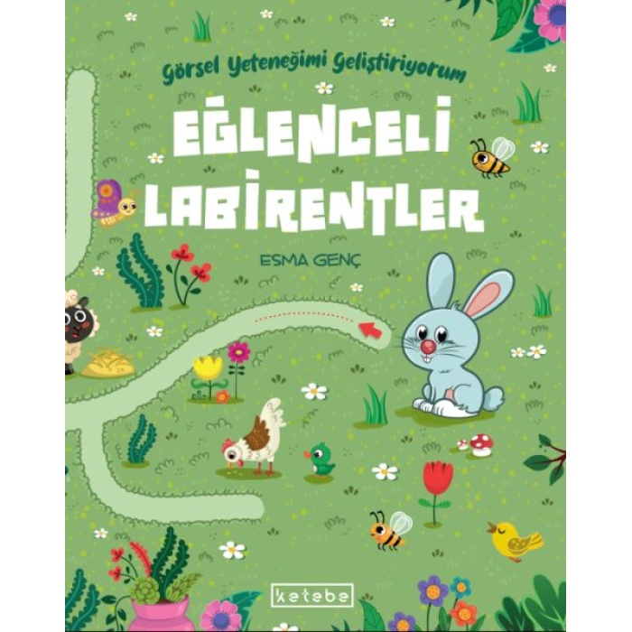 Eğlenceli Labirentler - Görsel Yeteneğimi Geliştiriyorum