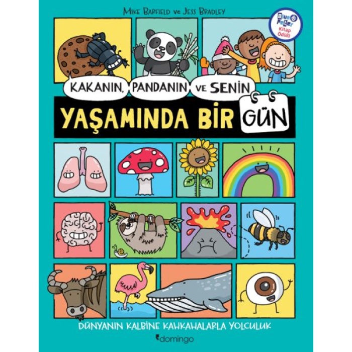 Kakanın, Pandanın Ve Senin Yaşamında Bir Gün