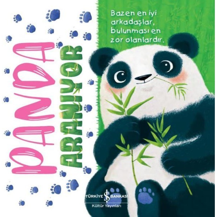 Panda Aranıyor