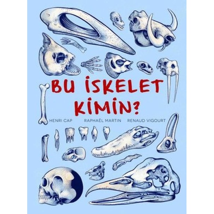 Bu İskelet Kimin?