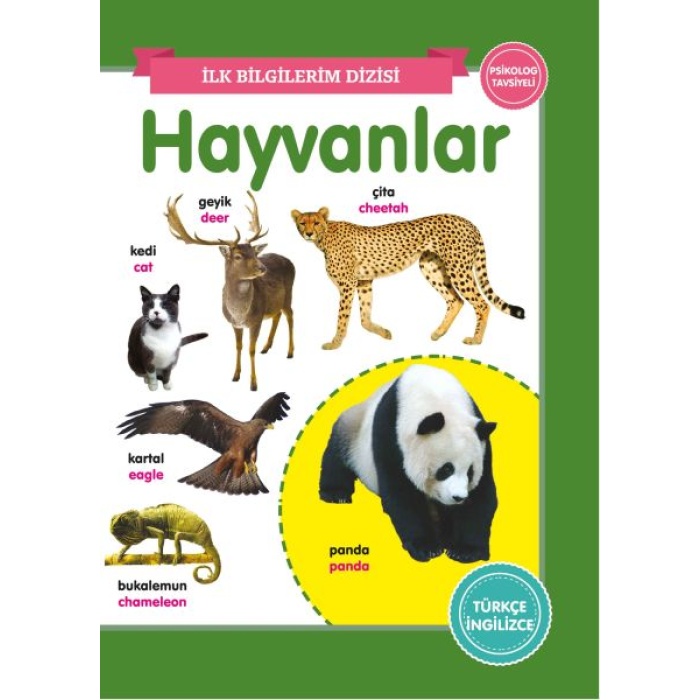 Hayvanlar - İlk Bilgilerim Dizisi