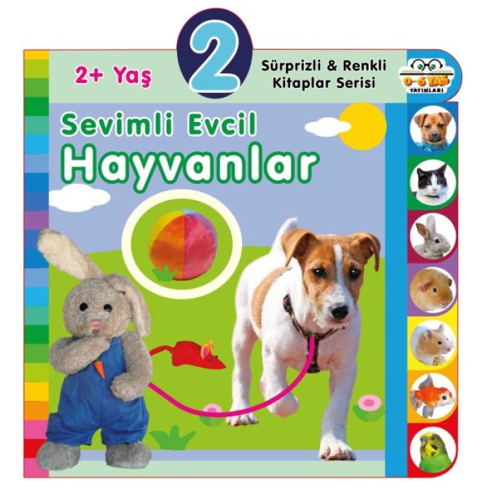 Yaş Sevimli Evcil Hayvanlar (2+Yaş)