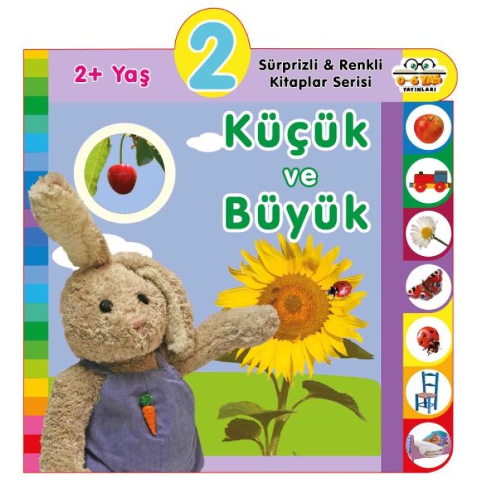 Yaş Küçük Ve Büyük (2+Yaş)