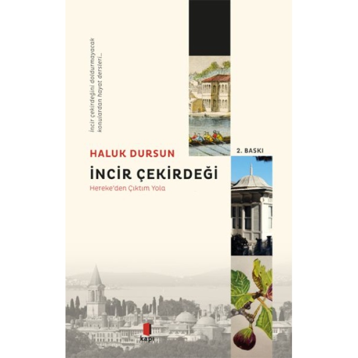 İncir Çekirdeği