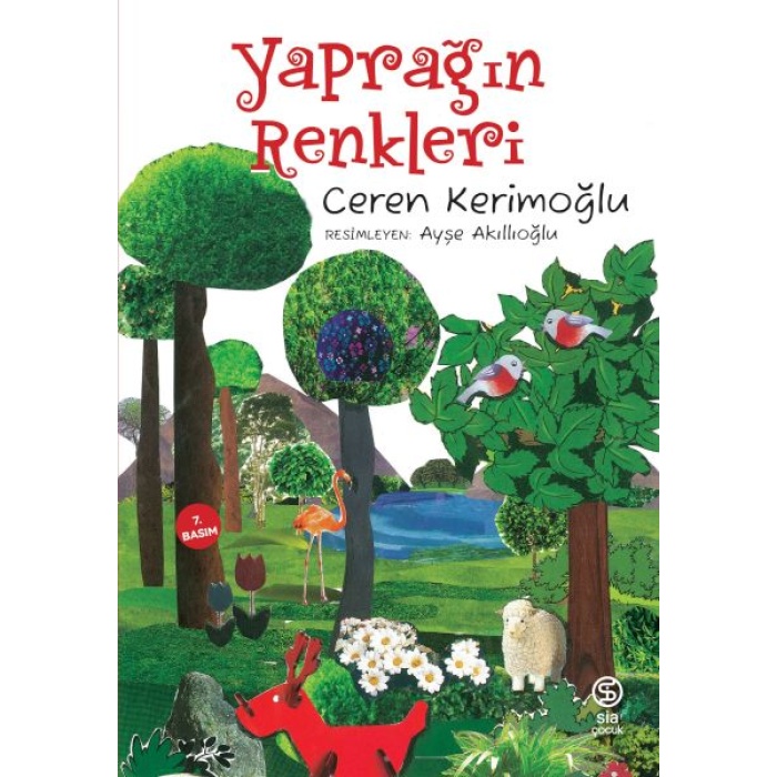 Yaprağın Renkleri