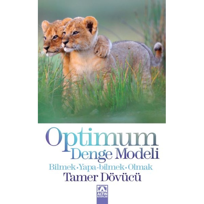 Optimum Denge Modeli