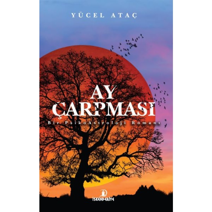 Ay Çarpması - Bir Psikoastroloji Romanı