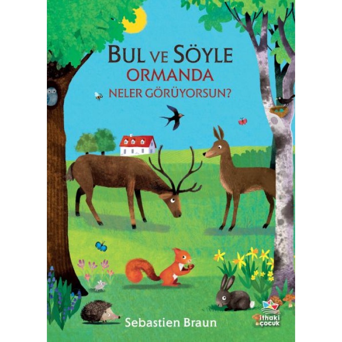 Bul Ve Söyle - Ormanda Neler Görüyorsun?