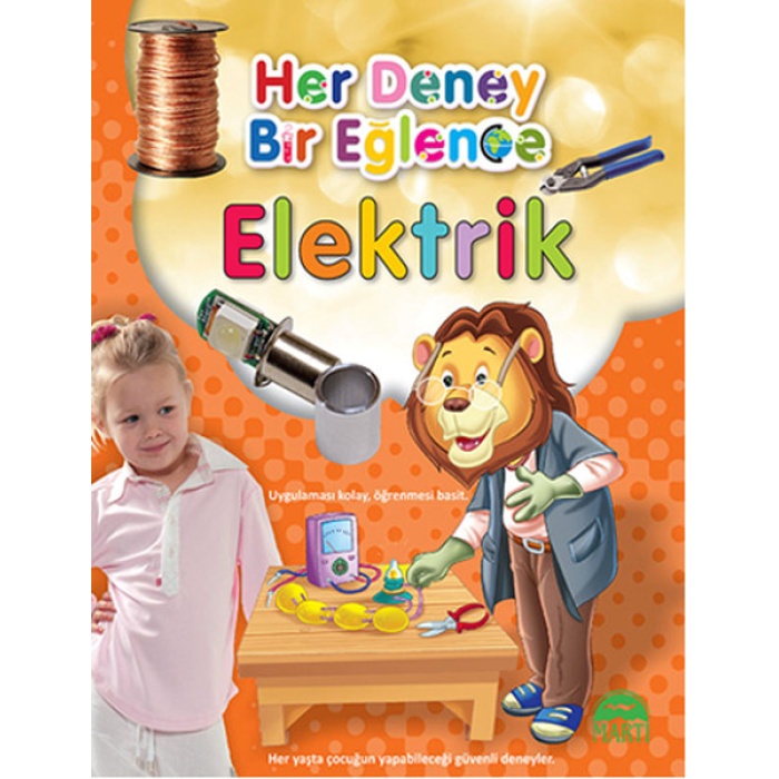 Her Deney Bir Eğlence - Elektrik