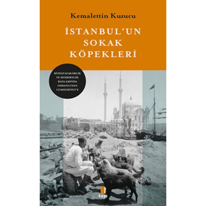 İstanbul’un Sokak Köpekleri