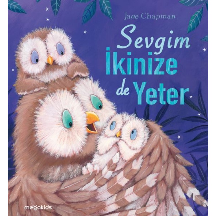 Sevgim İkinize De Yeter