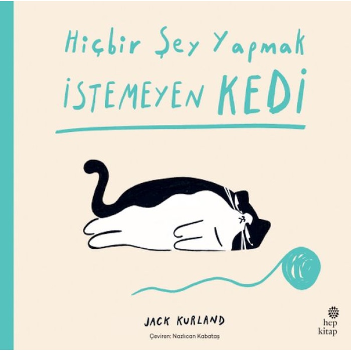 Hiçbir Şey Yapmak İstemeyen Kedi