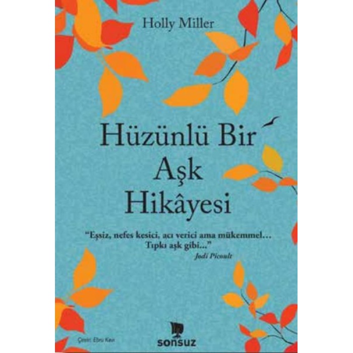 Hüzünlü Bir Aşk Hikâyesi