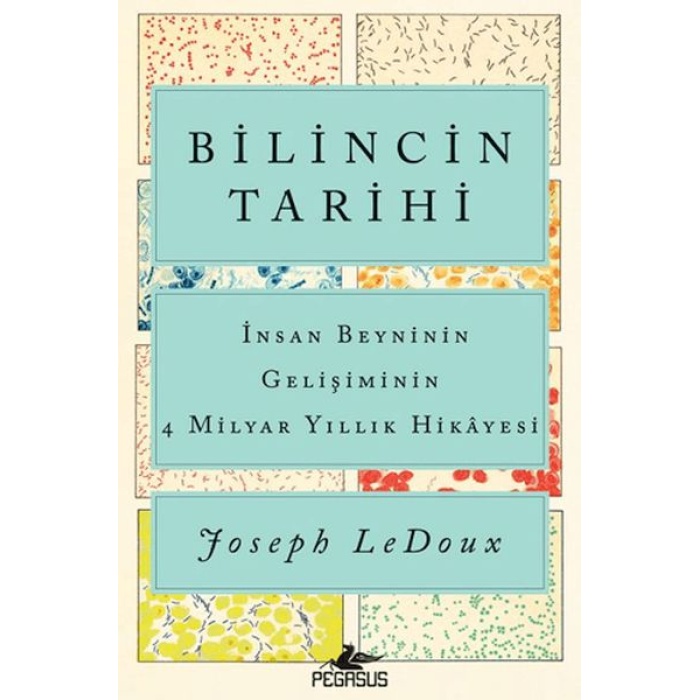 Bilincin Tarihi: İnsan Beyninin Gelişiminin 4 Milyar Yıllık Hikayesi