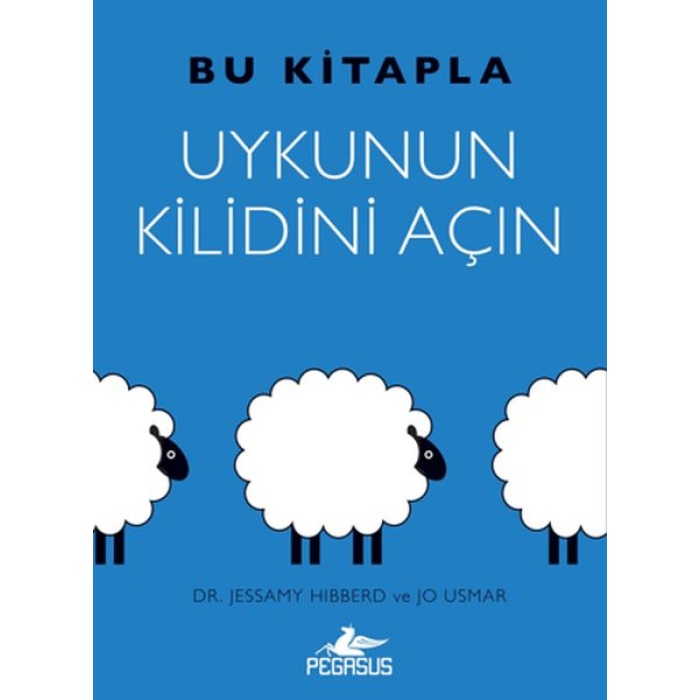 Bu Kitapla Uykunun Kilidini Açın