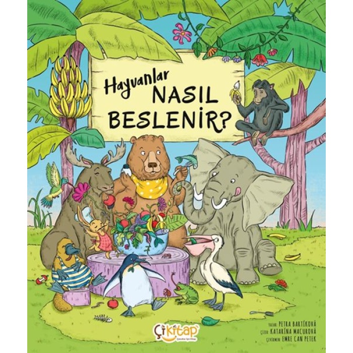 Hayvanlar Nasıl Beslenir ?