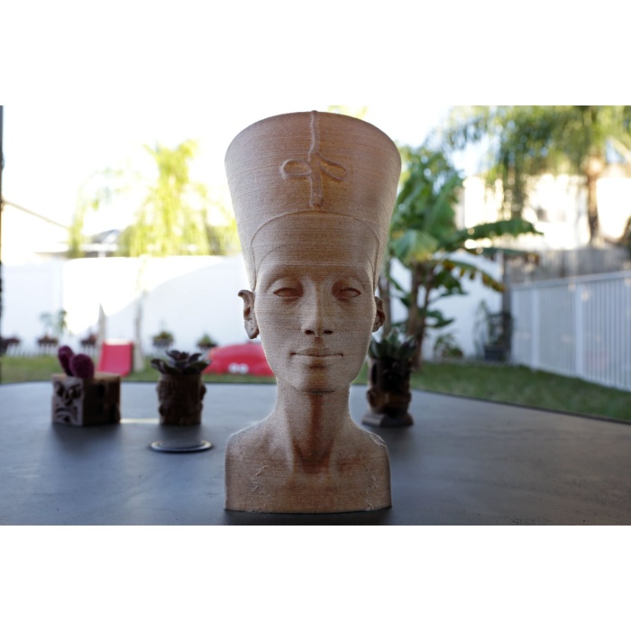 Nefertiti Büstü T1372787