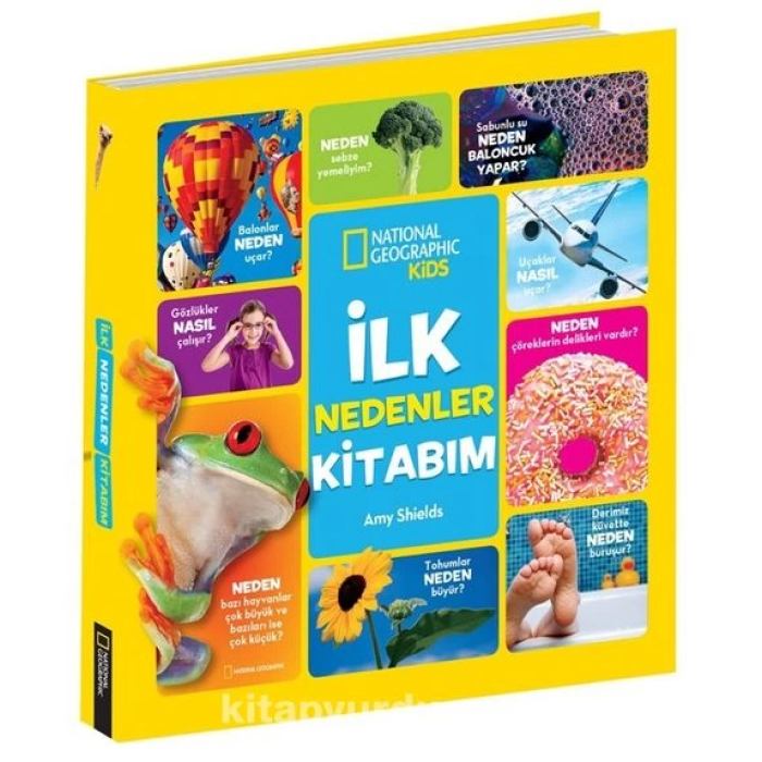 Kids - İlk Nedenler Kitabım