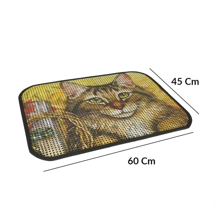 Kum Toplayıcı Fonksiyonel Renkli Kedi Paspası 45 X 60 Cm