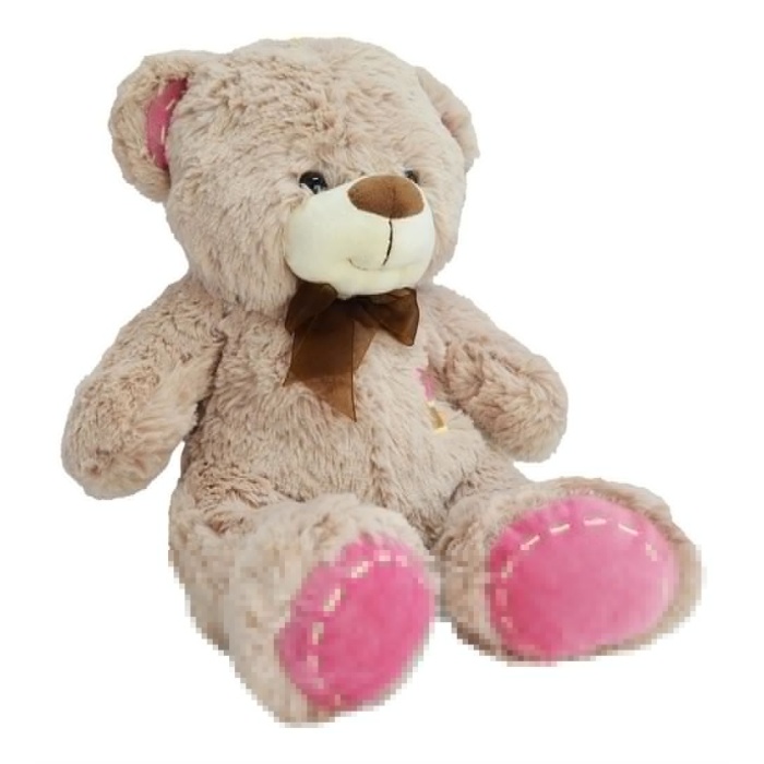 55 Cm Peluş Ayi -Hly