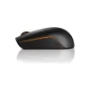 Lenovo 300 GX30K79401 Wireless Compact Mouse