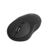 FRISBY FM-252WM KABLOSUZ MOUSE