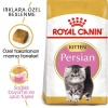 Royal Canin Kitten Persian Yavru İran Irk Maması 2 Kg