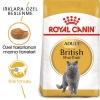 Royal Canin British Shorthair Irkına Özel Kedi Maması 2 Kg