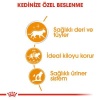 Royal Canin Pouch Gravy Intense Beauty Kedi Maması 85 Gr