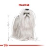 Royal Canin Maltese Bichon Maltais Köpek Maması 1.5 Kg