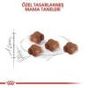 Royal Canin Mother BabyCat Yavru Kuru Kedi Maması 2 Kg