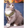 Pro Style Cat & Dog Accessorıes Takı Tasma 25 cm