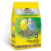 Gold Wings ClassicGWC Yavru Yemi 400 gr