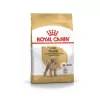 Royal Canin Poodle Adult Köpek Maması 3 Kg