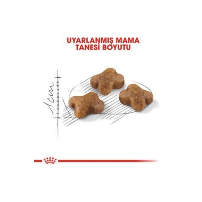 Royal Canin Kitten Kedi Kuru Maması 2 Kg