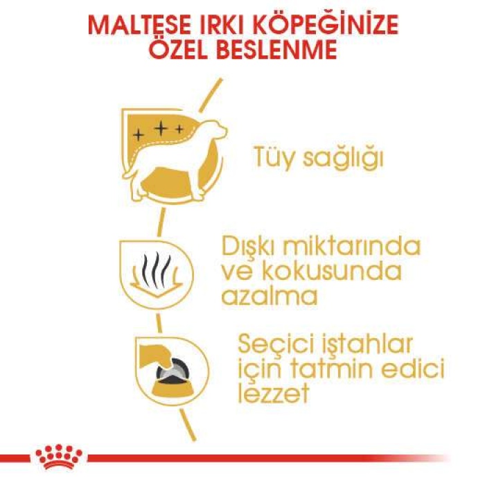 Royal Canin Maltese Bichon Maltais Köpek Maması 1.5 Kg