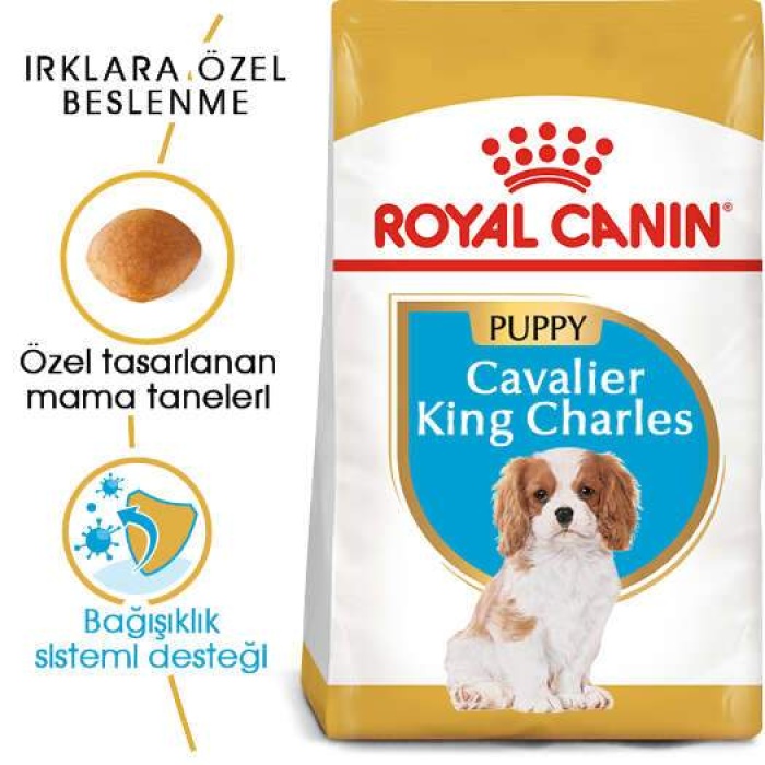 Royal Canin Cavalier King Charles Puppy Yavru Köpek Maması 1,5 Kg