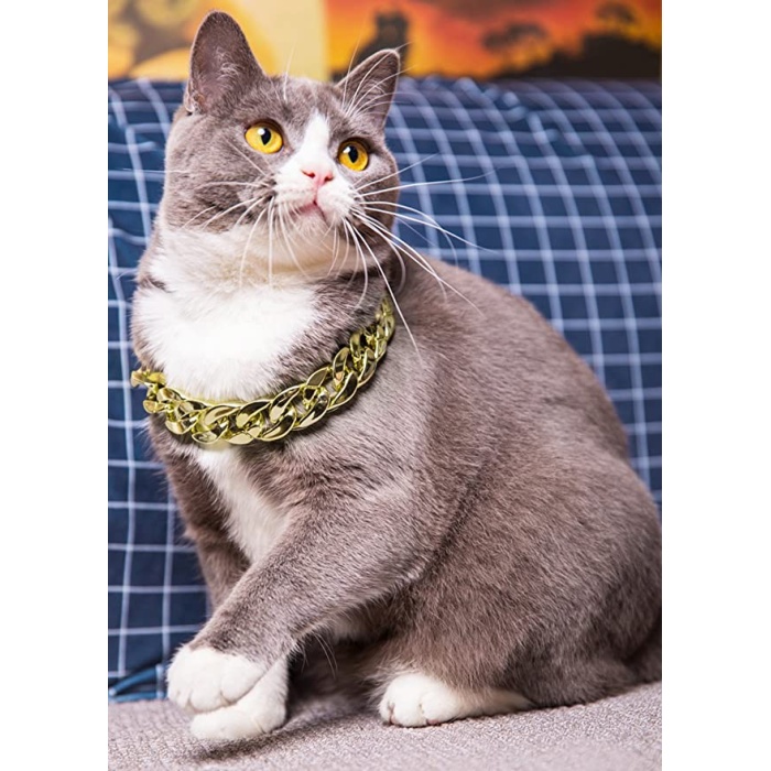 Pro Style Cat & Dog Accessorıes Takı Tasma 25 cm