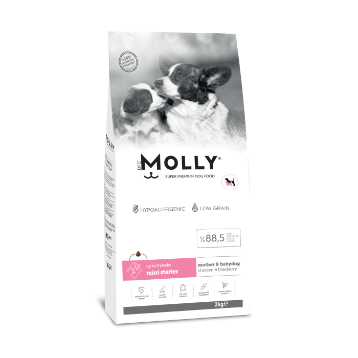 MOLLY MİNİ STARTER MOTHER TAVUKLU KÖPEK MAMASI 2 KG