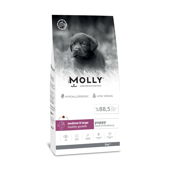 MOLLY YAVRU KUZULU YABAN MERSİNLİ KÖPEK MAMASI 2 KG