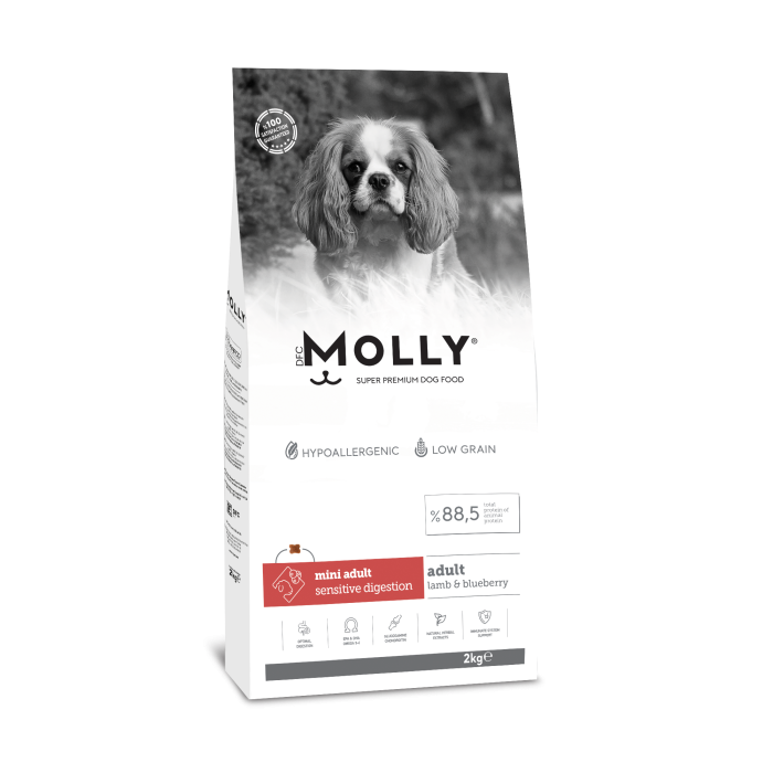 MOLLY MİNİ KUZULU YABAN MERSİNLİ KÖPEK MAMASI 2 KG