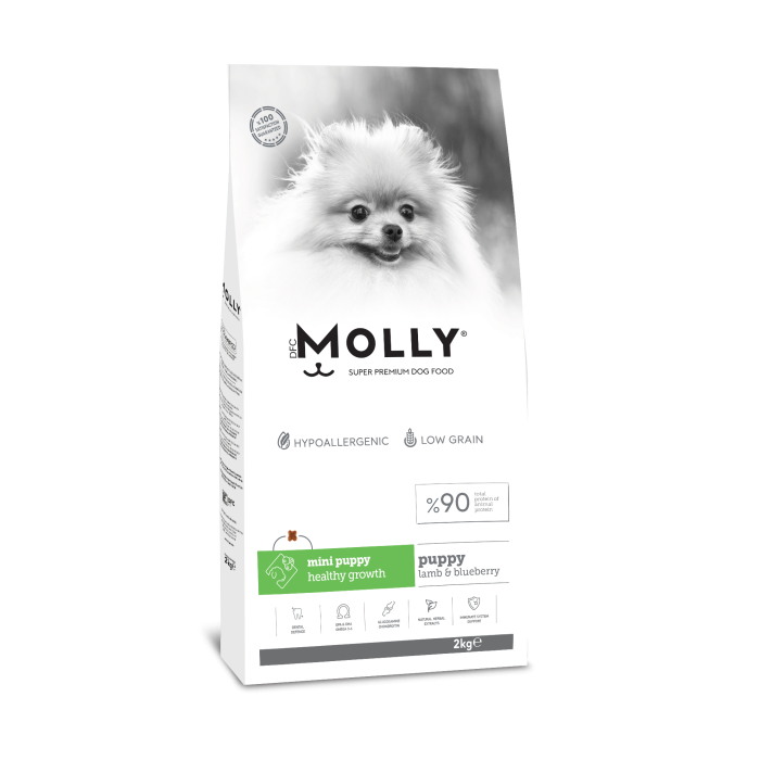 MOLLY MİNİ YAVRU KUZULU YABAN MERSİNLİ KÖPEK MAMASI 2 KG