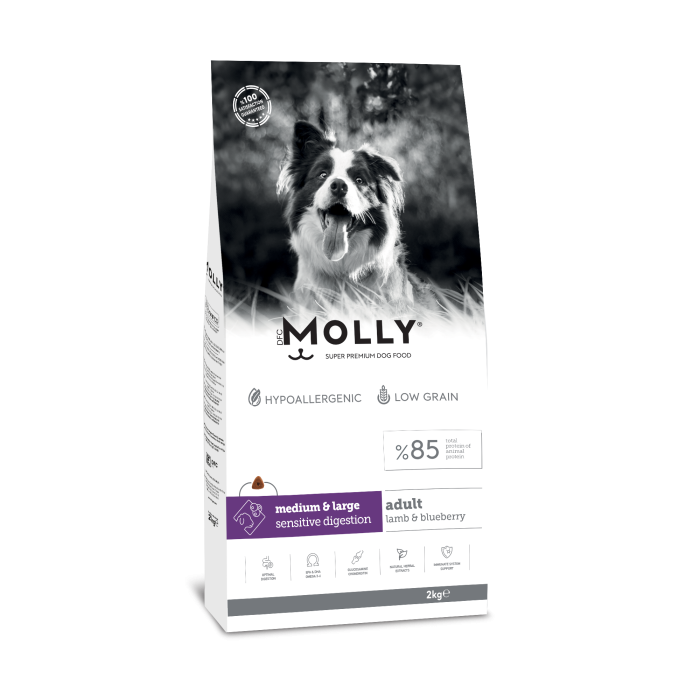 MOLLY KUZULU YABAN MERSİNLİ KÖPEK MAMASI 2 KG