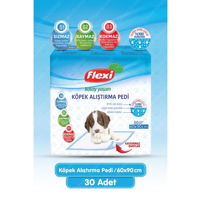 Flexi Ultra Emici Kaydırmaz Bantlı Köpek Çiş Alıştırma Pedi 60x90 Cm (30Lu)