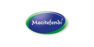 Mecitefendi